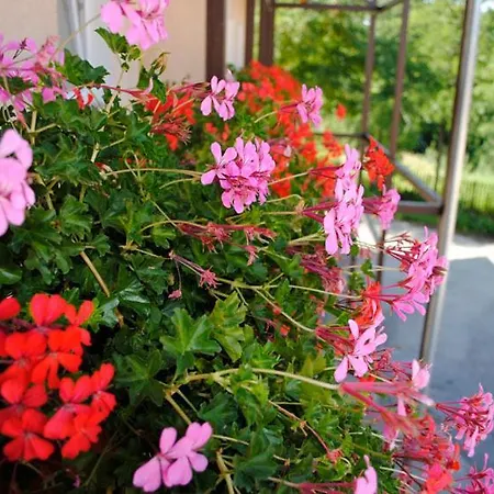 Guest house Bruder